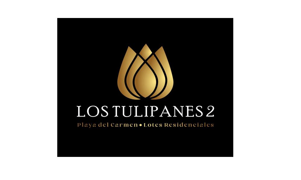 Tulipanes 2