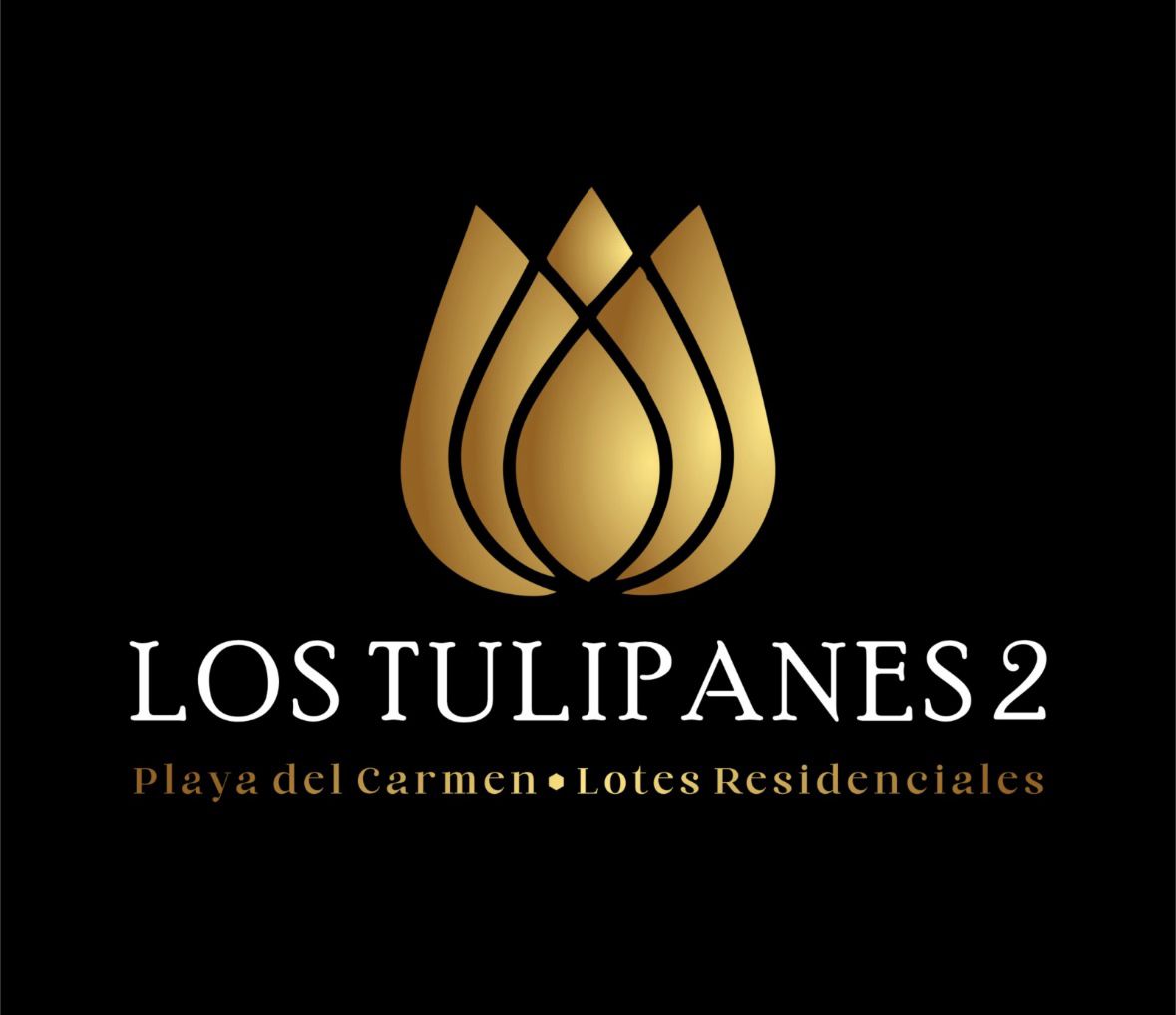 Tulipanes 2
