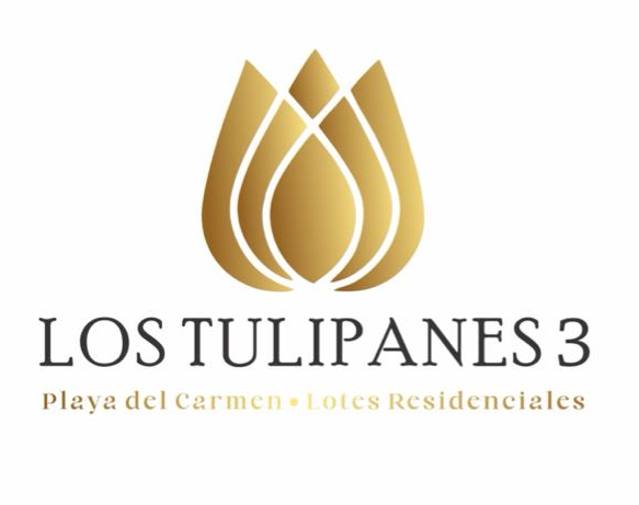 Tulipanes 3